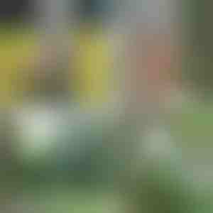 Duche portátil | HYDROPORT