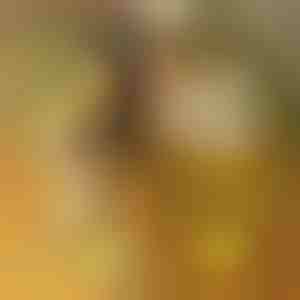 Quadro Luminoso LED com 7 marcadores | LUMOBOARD