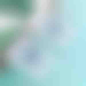Ganchos adesivos transparentes para parede (10 unid.) | ADHEHOOKS
